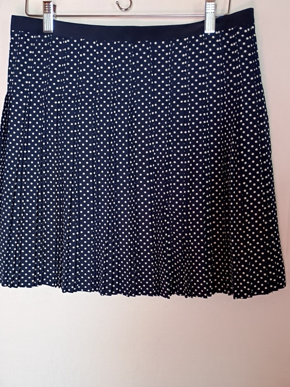 J. Crew Women's Navy and White Polka Dot Pleated Skirt Size 10